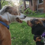 Pria and Jojo