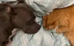 Overnight Care