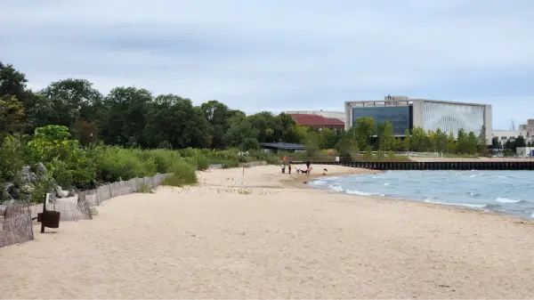Dog Beach